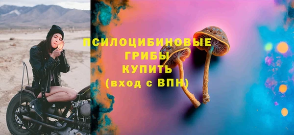 МДПВ Инсар
