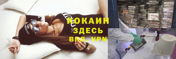 не бодяженный Иннополис