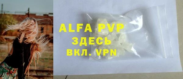 МДПВ Инсар