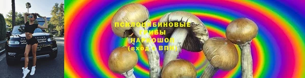 не бодяженный Инта