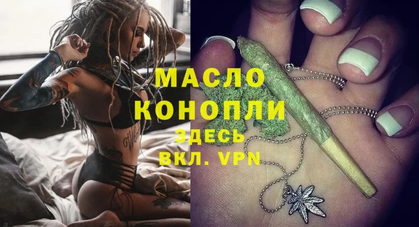 МДПВ Инсар