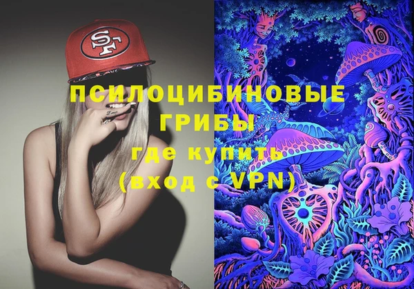 не бодяженный Иннополис