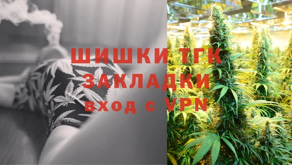МДПВ Инсар