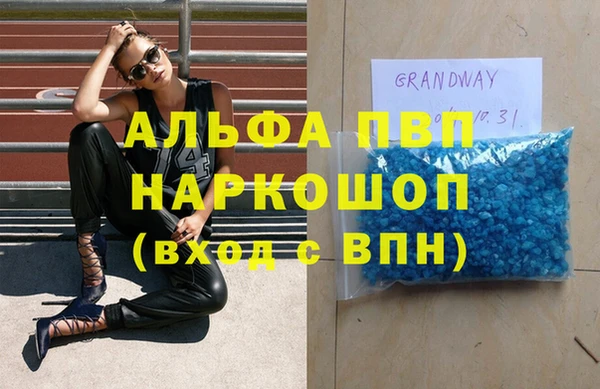 МДПВ Инсар
