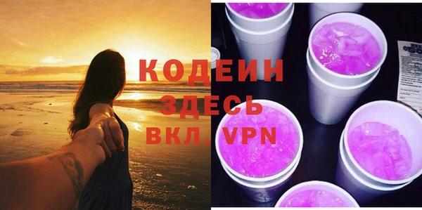 МДПВ Инсар