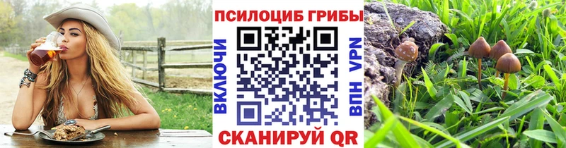 Купить закладки  Волоколамск  Галлюциногенные грибы ЛСД 