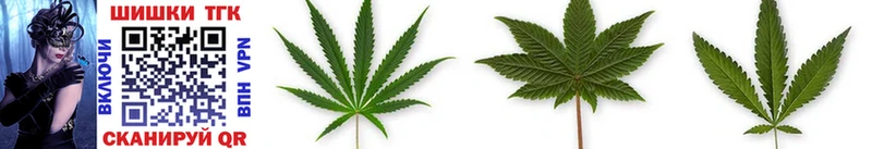 Купить закладки  Волоколамск  Канабис Ganja 